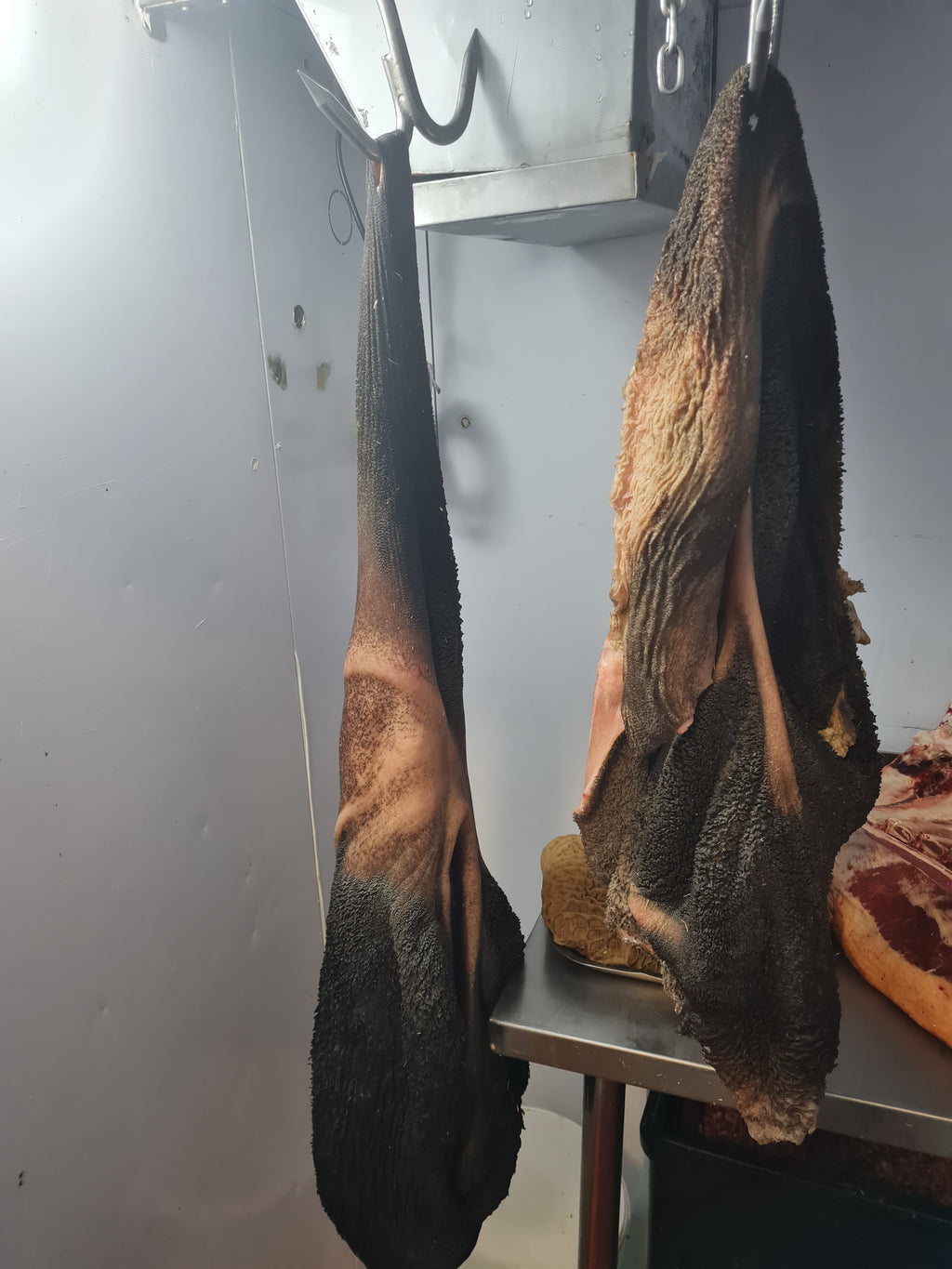 Guru / Cow tripe/ Malusu