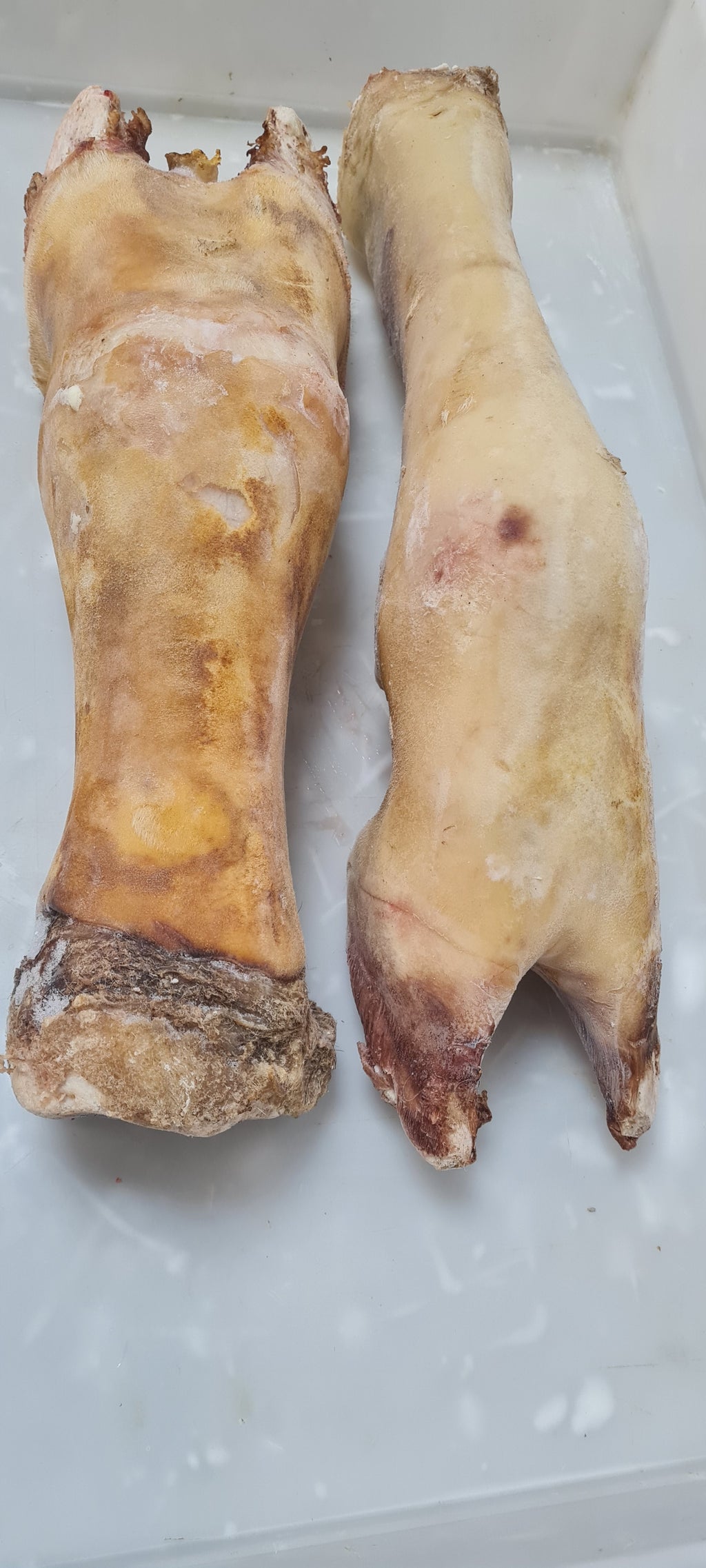 Cow Foot