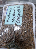 Matemba / Kapenta fish